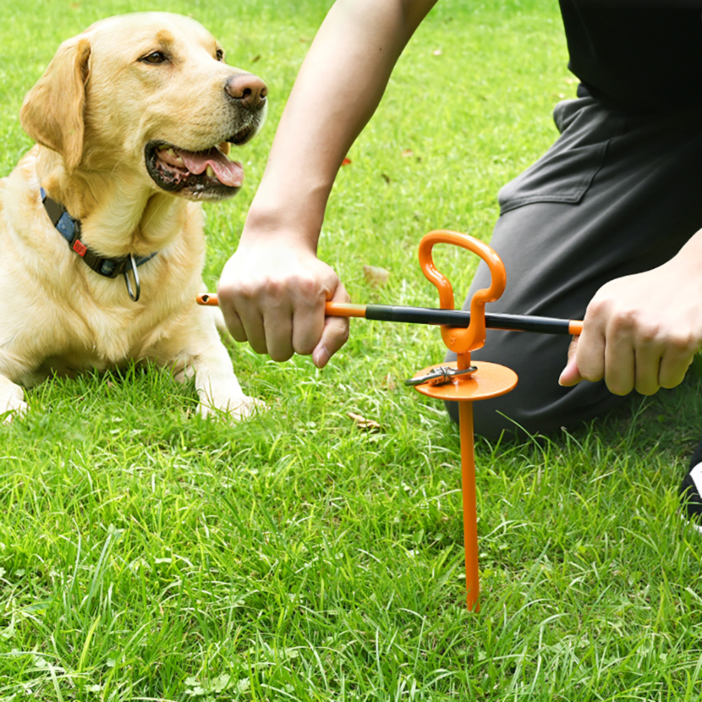 Dog tie down clearance stake