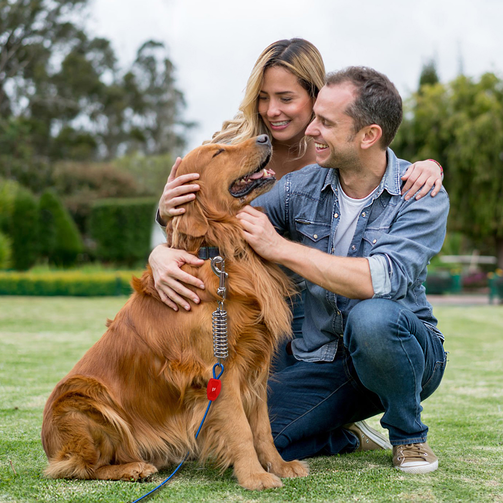 Dog Tie-out Cable & Stake - 40ft/120lbs