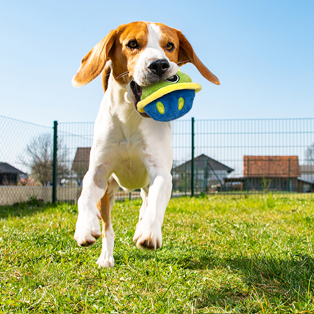 Interactive Dog Toys - The Mysterious Bobby