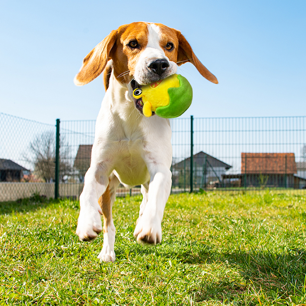 Interactive Dog Toys - The Egg Breaker Bobby