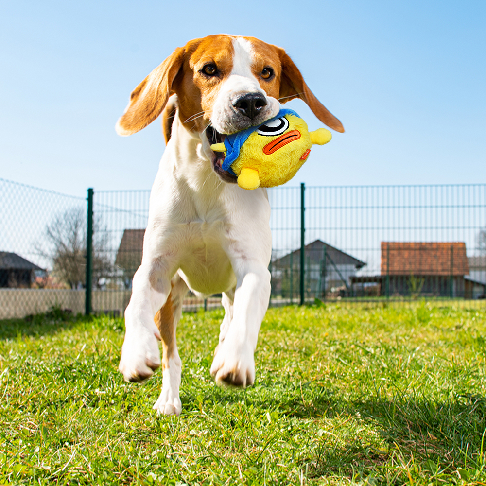 Interactive Dog Toys - The Fighter Bobby