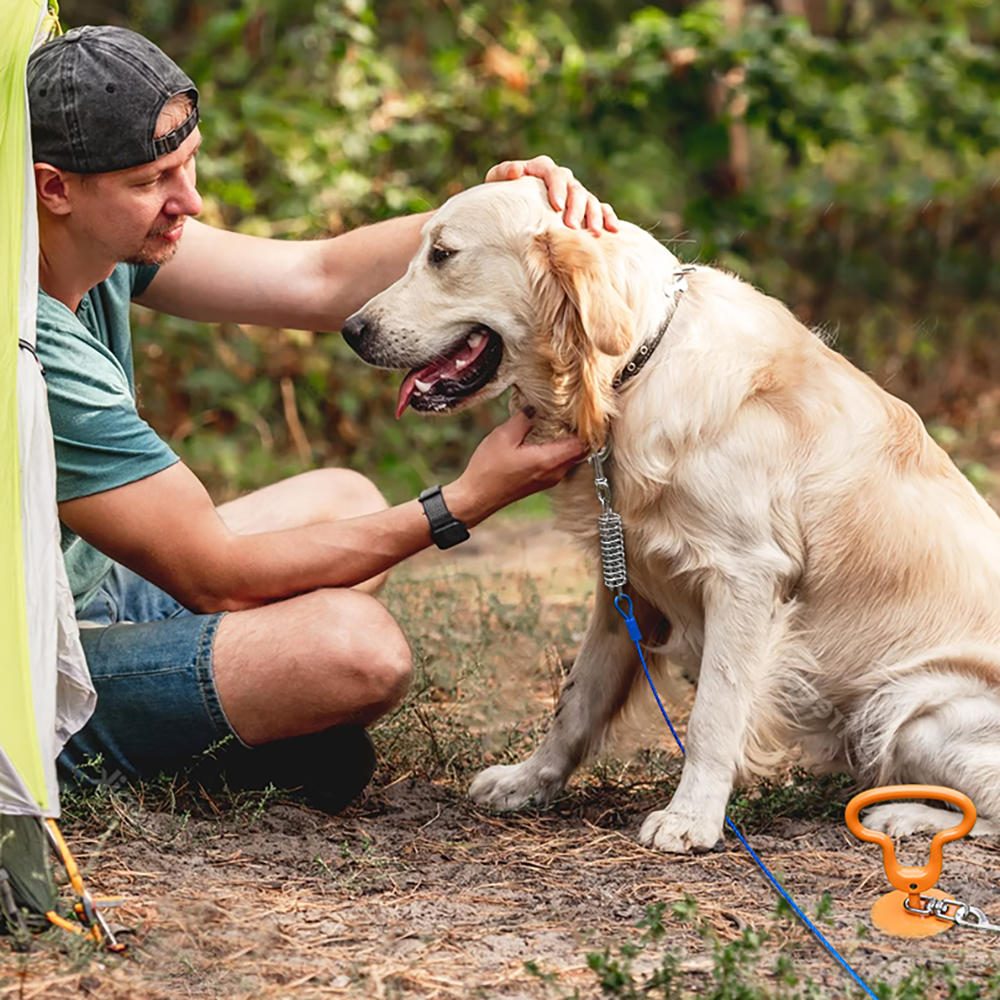 Dog Tie Out Stake (Heavy Duty)