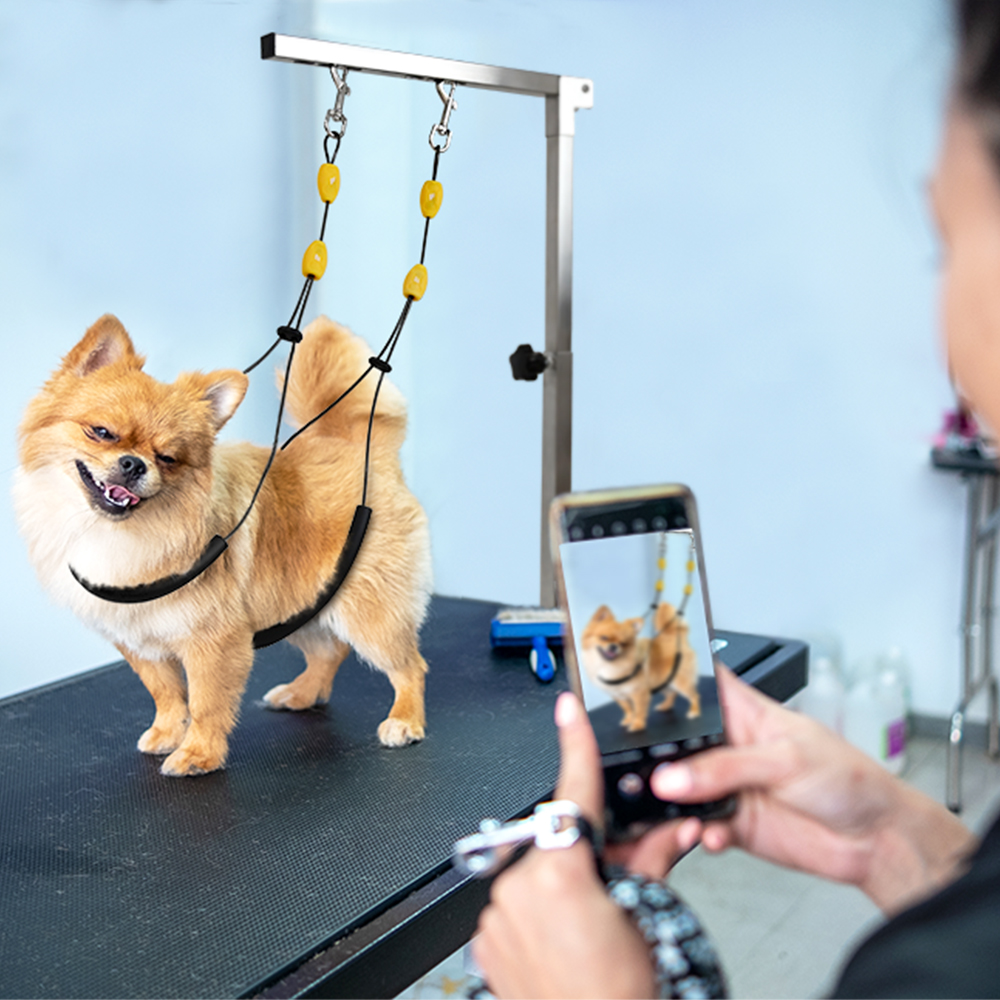 Dog Grooming Arm with Clamp