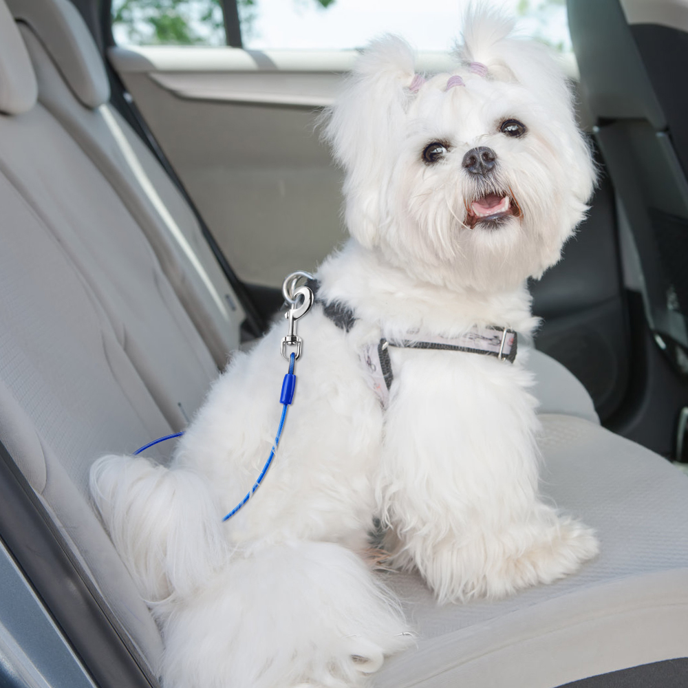 Dog Safety Car Seat Belt - 32in