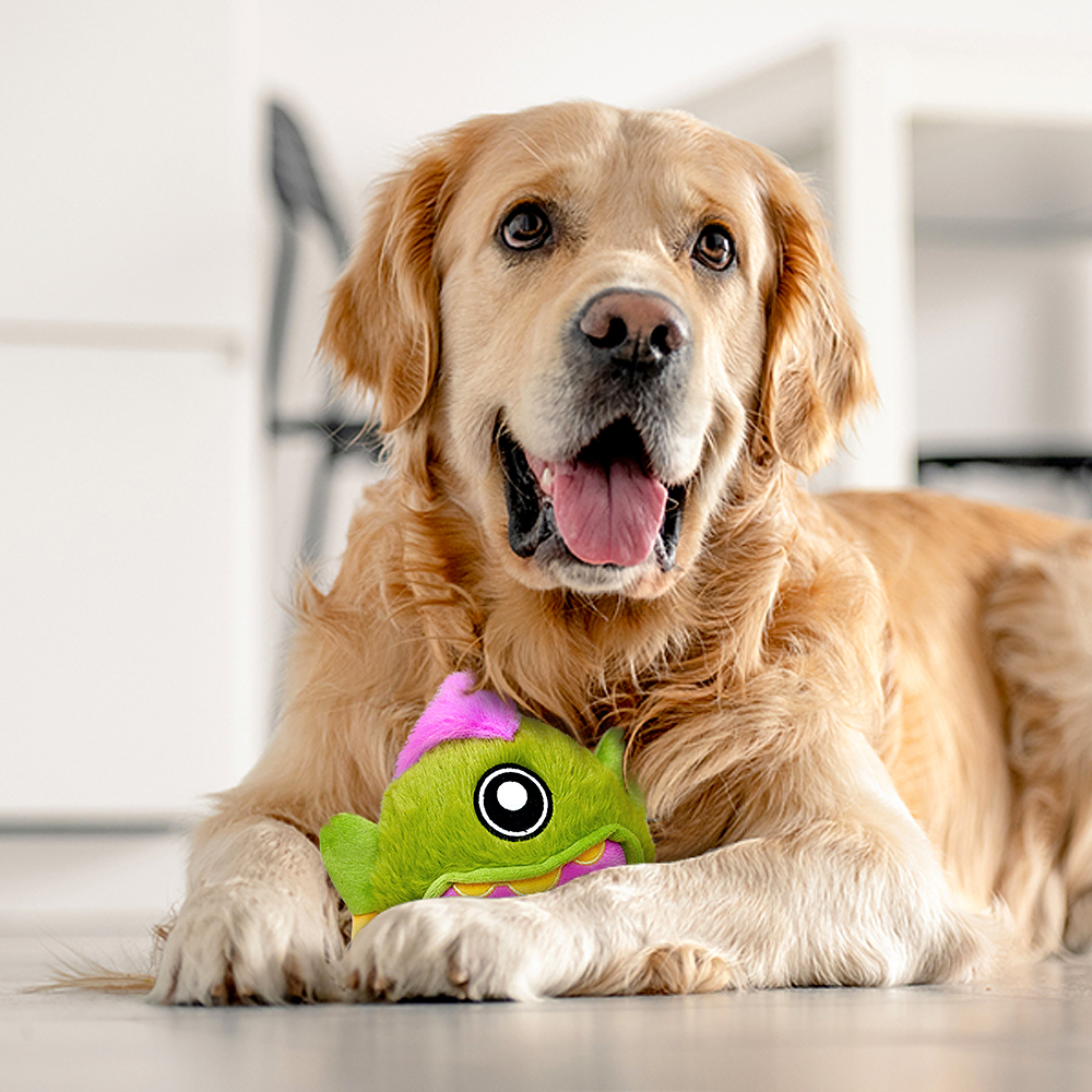 Interactive Dog Toys - The Rock Bobby