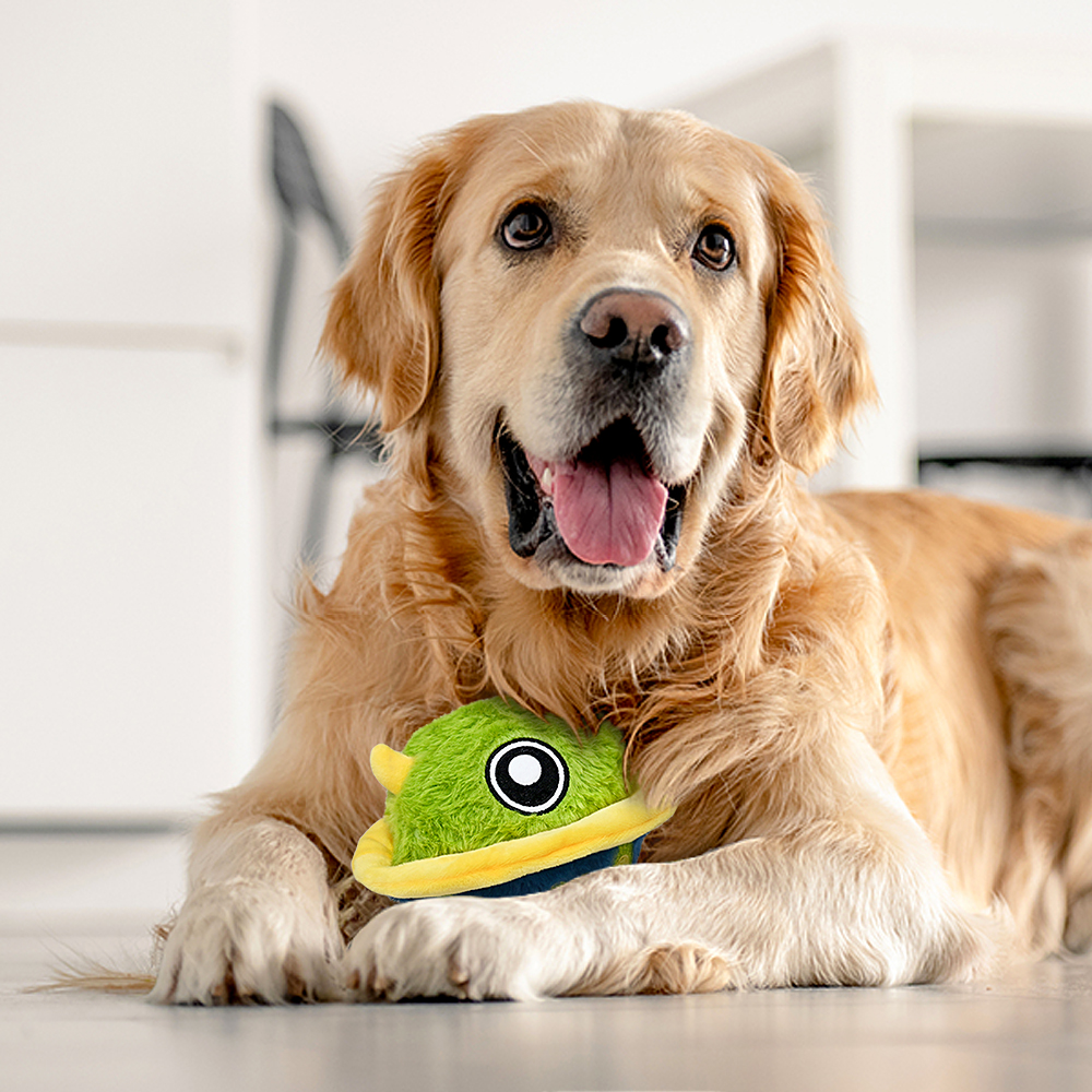 Interactive Dog Toys - The Mysterious Bobby