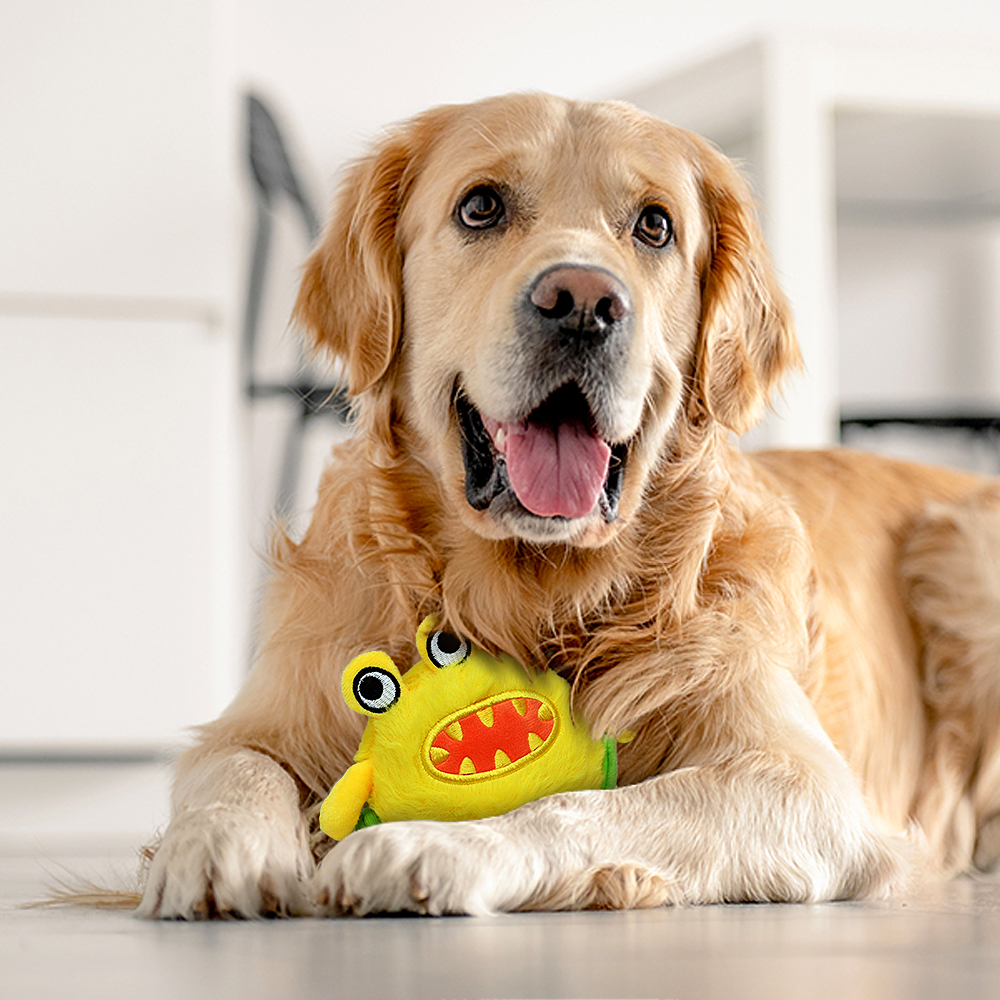 Interactive Dog Toys - The Egg Breaker Bobby