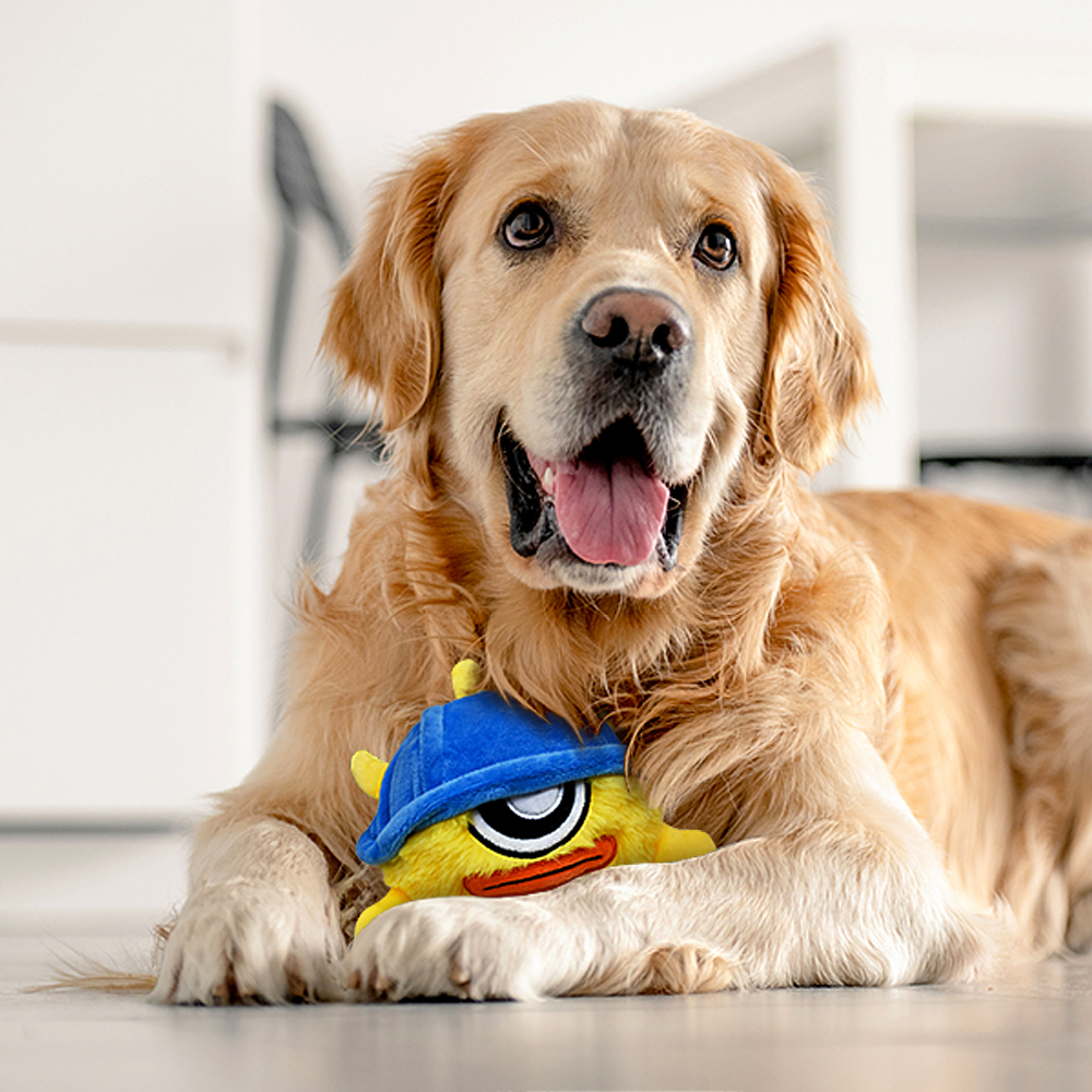 Interactive Dog Toys - The Fighter Bobby