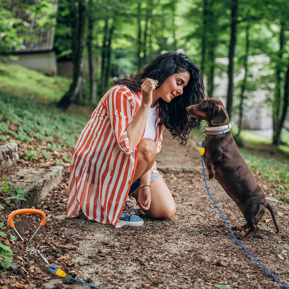 Dog Tie-out Cable & Stake - 15ft/20lbs