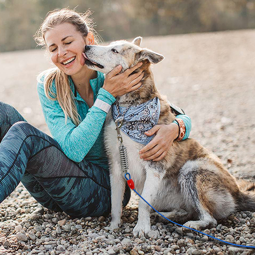 Dog Tie-Out Cable - 40ft