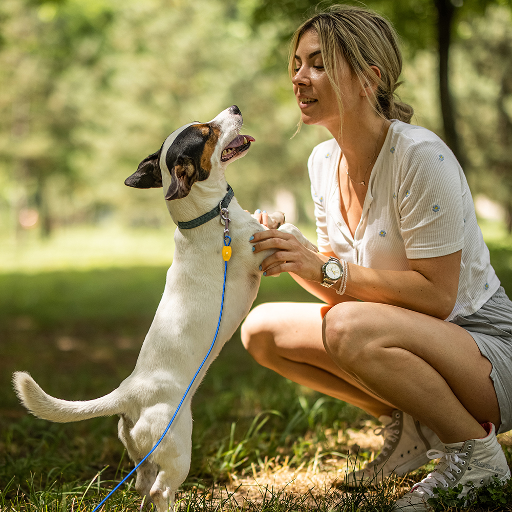 Dog Tie-out Cable & Stake - 15ft/20lbs