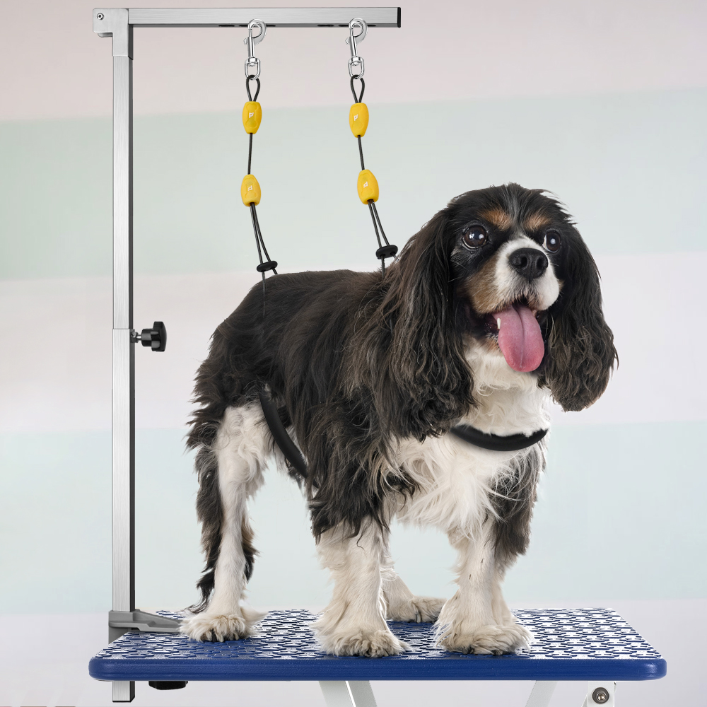 Dog Grooming Arm with Clamp