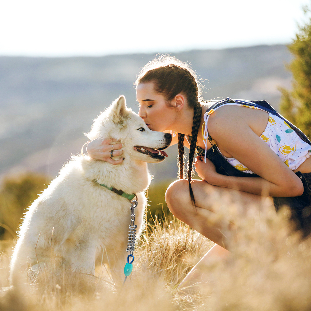 Dog Tie-out Cable & Stake - 20ft/60lbs