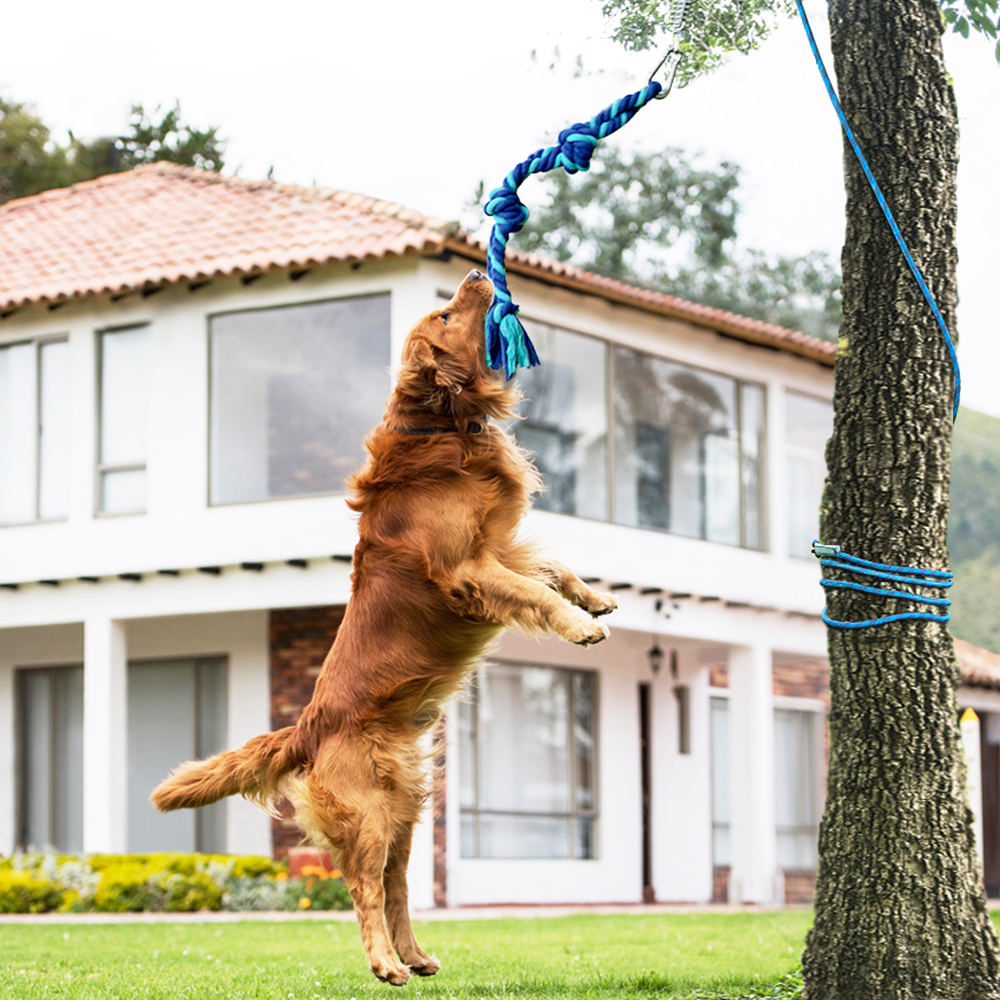 Tree fashion tug for dogs