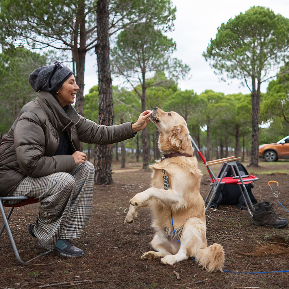 Dog Tie-out Cable & Stake - 40ft/120lbs