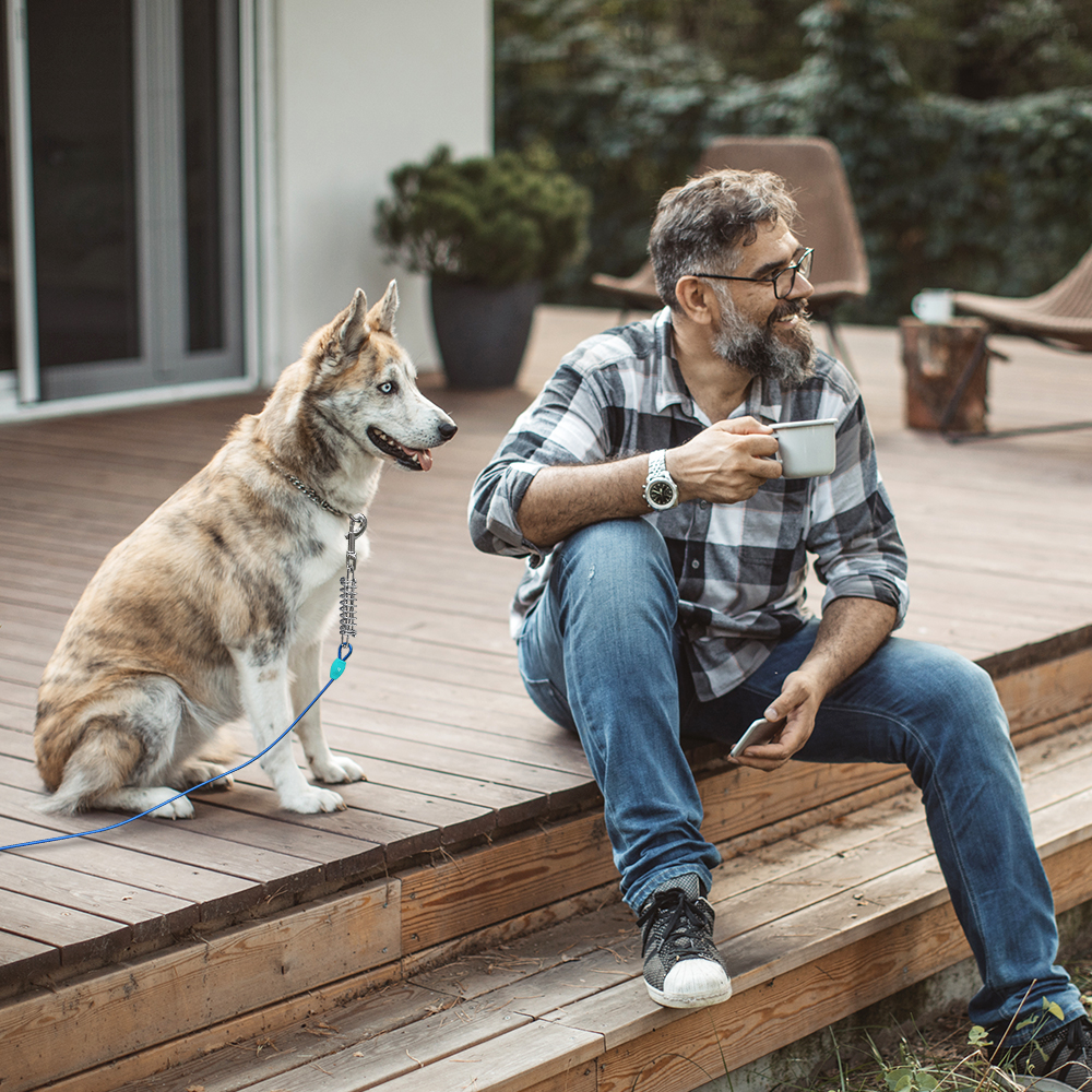 Dog Tie-Out Cable - 20ft