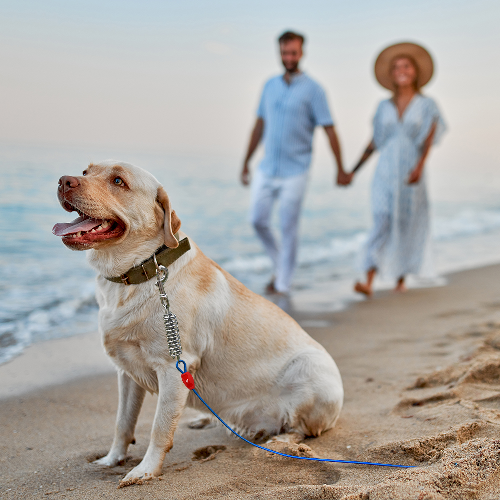 Dog Tie-Out Cable - 30ft