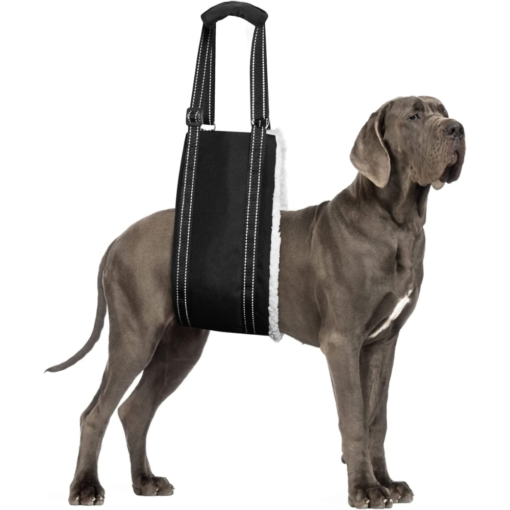 Dog Lift Harness for Hind Led Support