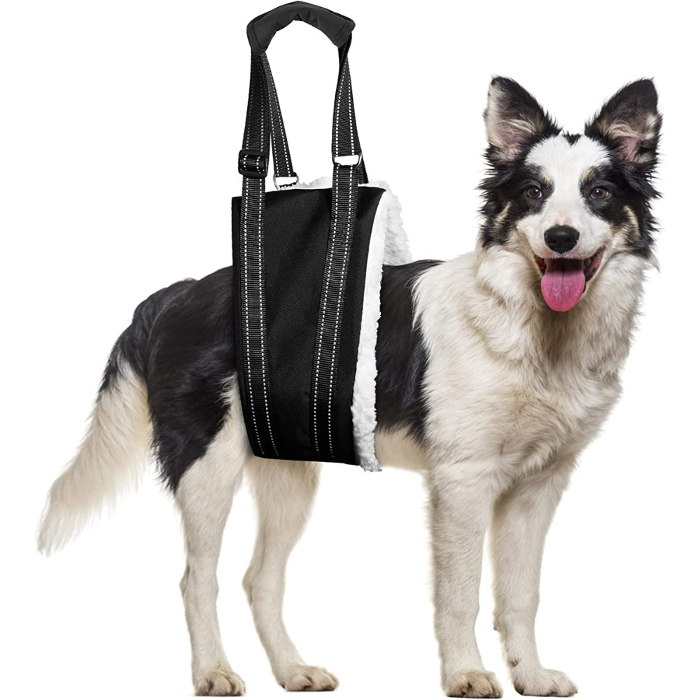 Dog Lift Harness for Hind Led Support