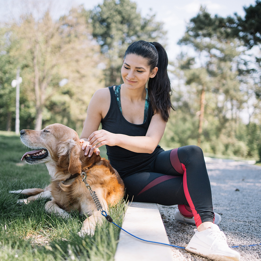 Dog Tie-Out Cable - 30ft/250lbs