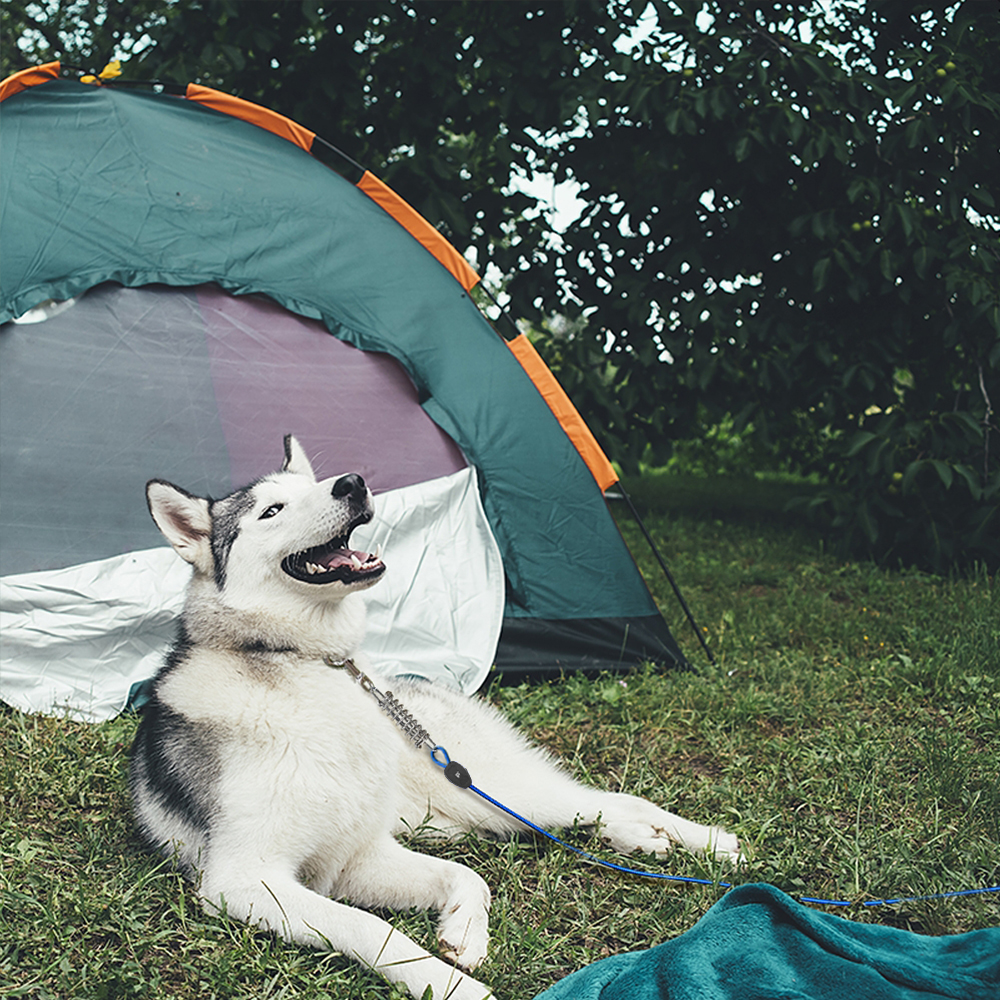 Dog Tie-Out Cable - 30ft/250lbs