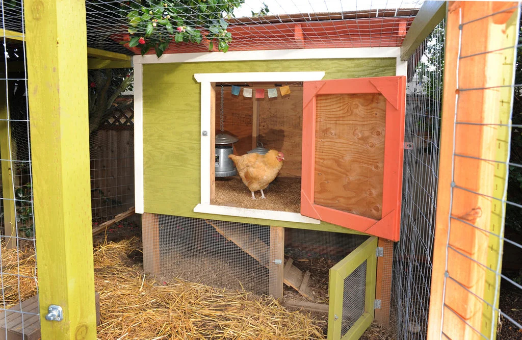 Large, yellow walk-in coop and run