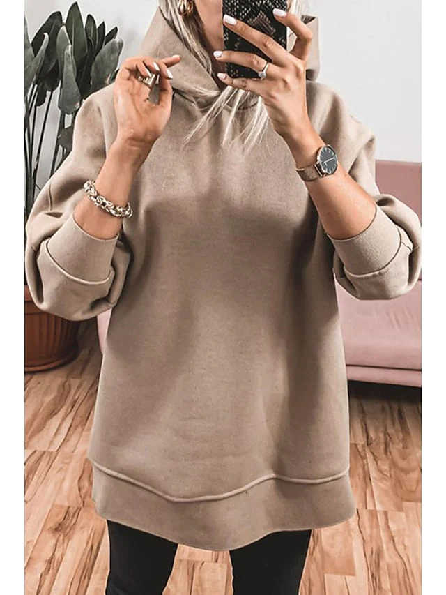 Women's Sweatshirt Pullover Basic Block Street V Neck Long Sleeve