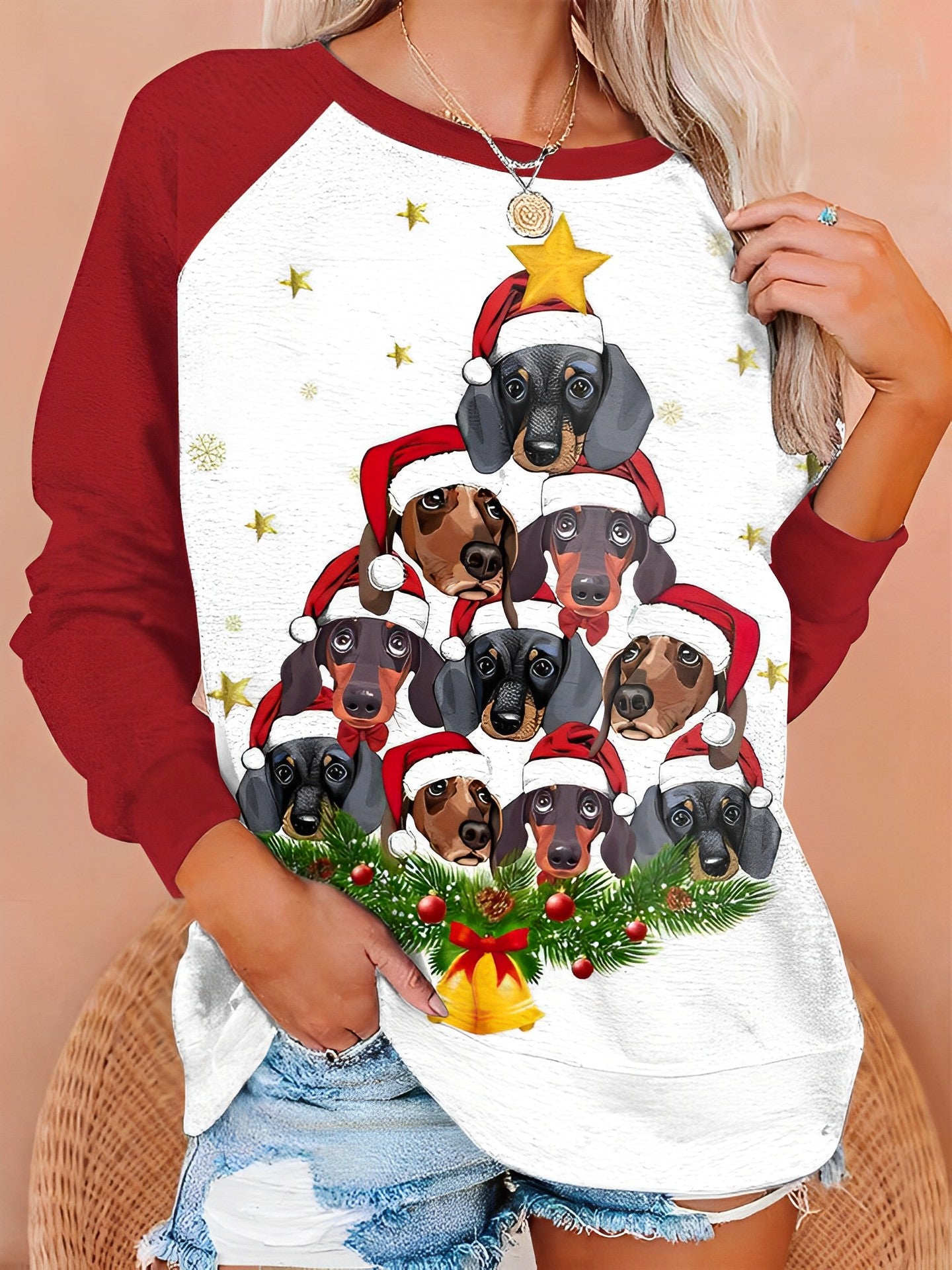 Christmas Dog Print Crew Neck Raglan Sleeve Pullover