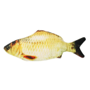 Grass-carp