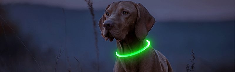 The Glow in the Dark Dog Collar is a safe and stylish way to keep your pet visible during their evening strolls. The luminous green material ensures they can be seen in dark, low-light conditions, while the adjustable size means it can fit any size of dog.