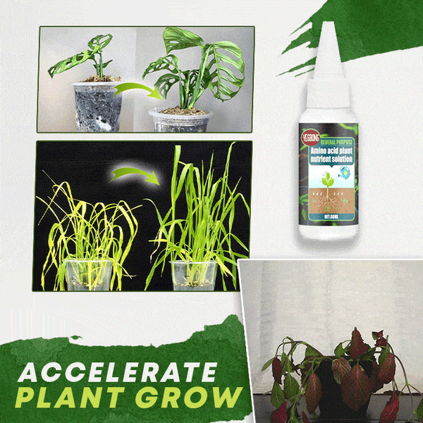 🌳2023The Best—Plant Nutrient Solution