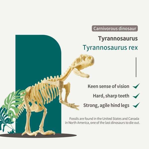 (🔥LAST DAY SALE-48% OFF) Dinosaur Fossil Digging Kit--Buy 2 Free Ship