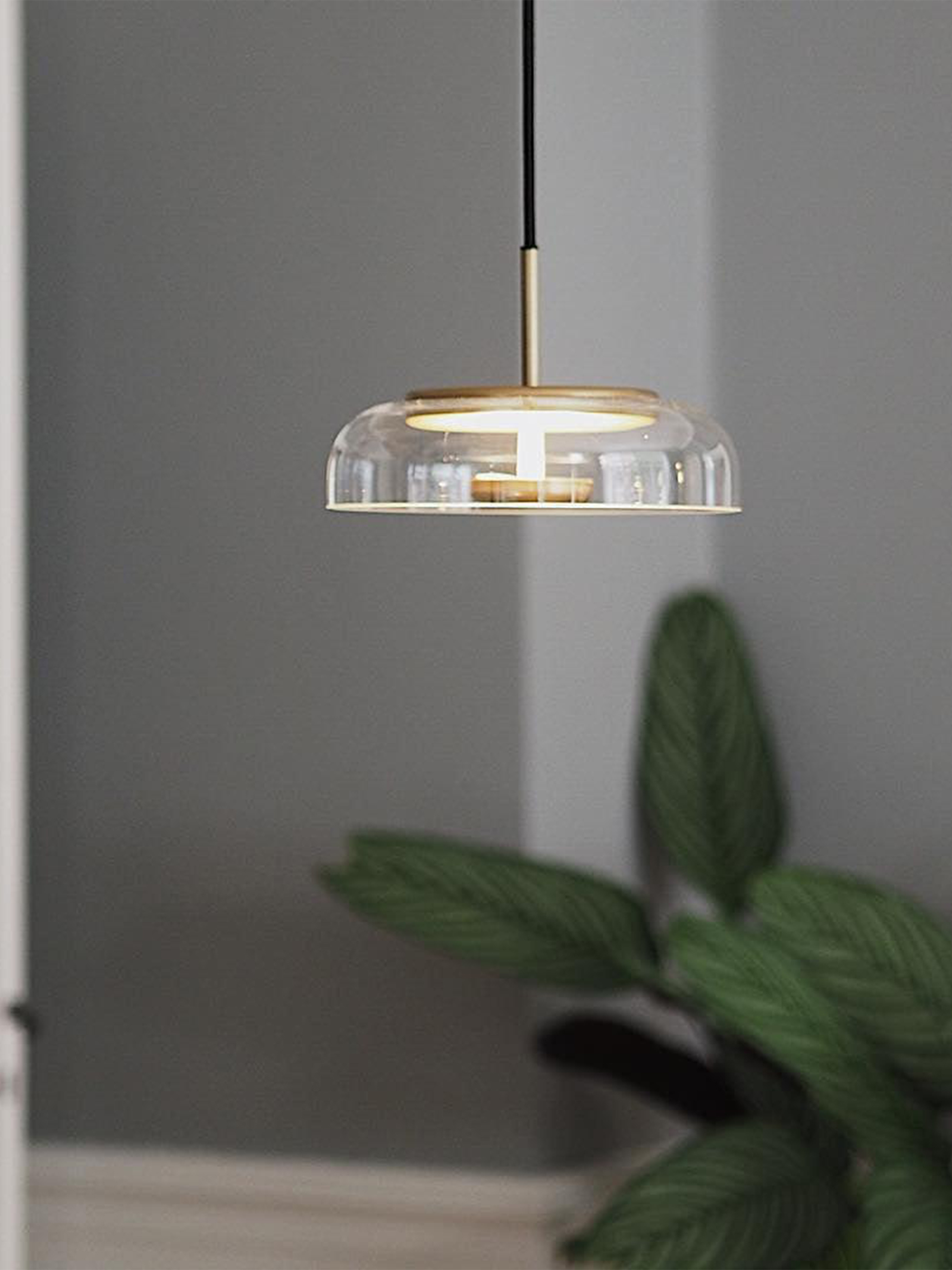 Blossi Pendant Light-elegalight