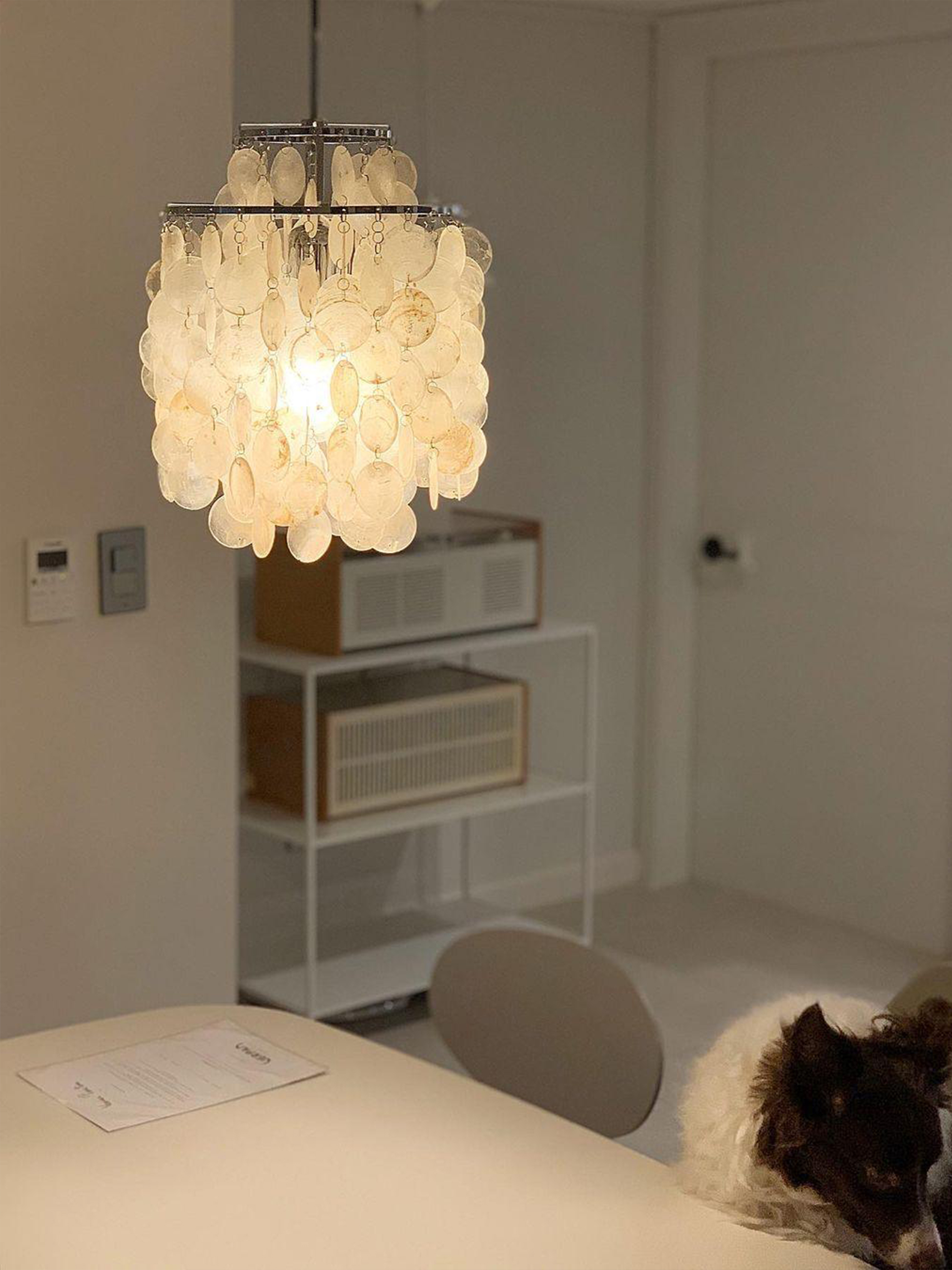 Round Shell Windbell Chandelier-elegalight