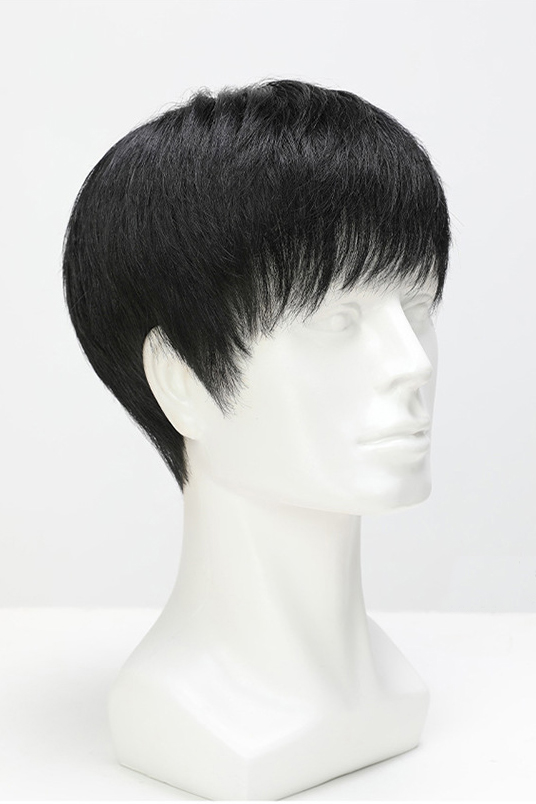Bernie Men Wigs Short Wig Human Hair Heat Resistant Natural Hair Wigs