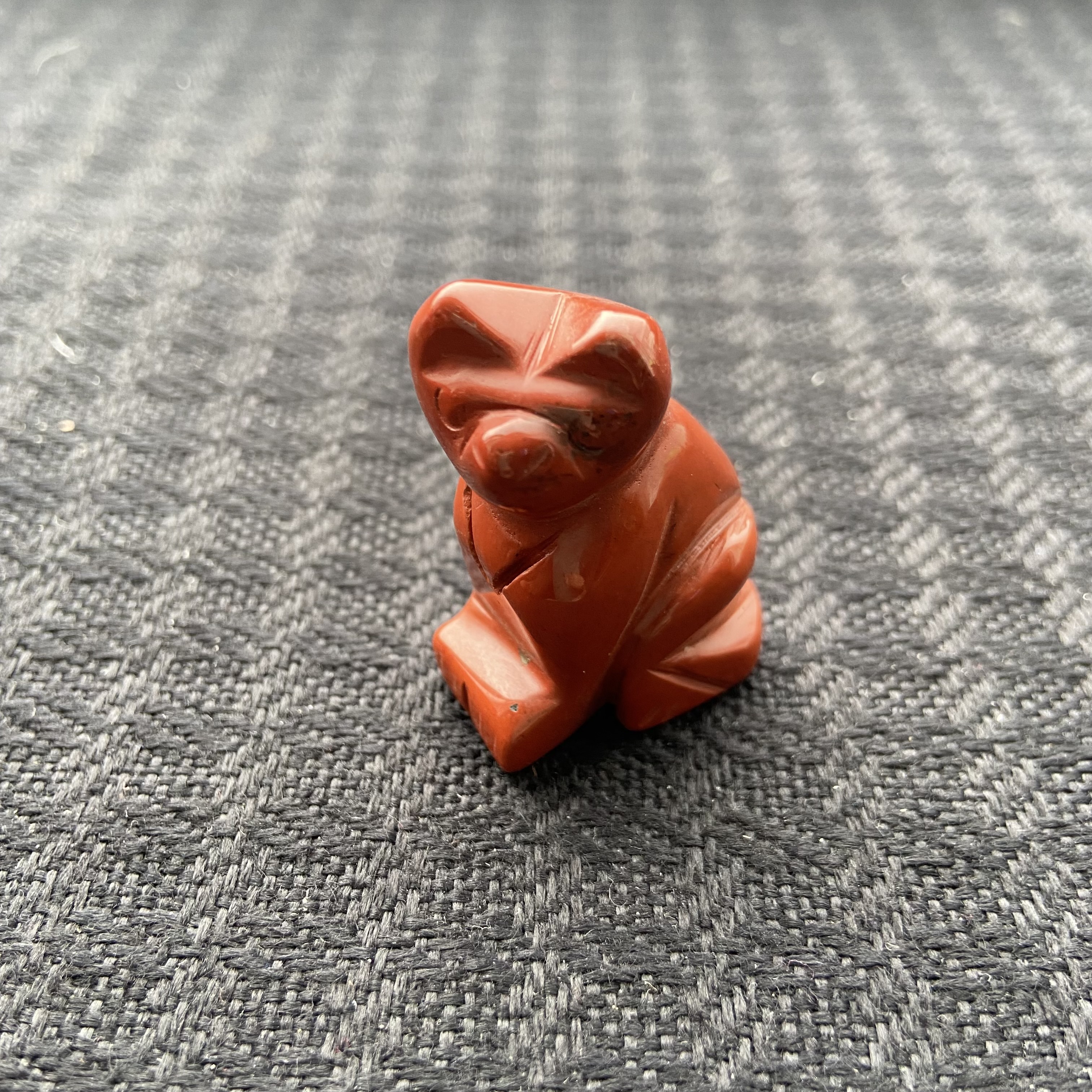 Small Animal Cat 1Each