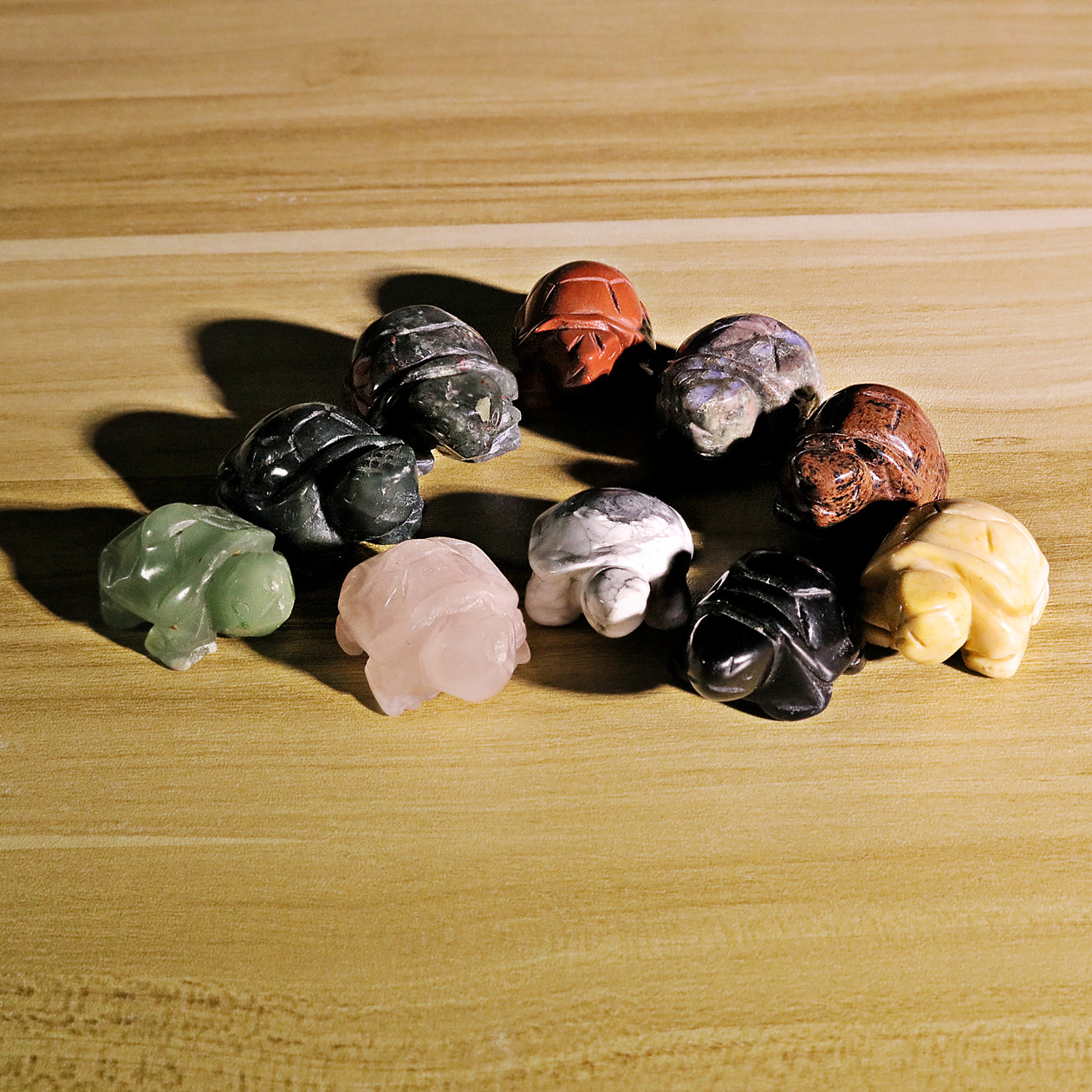 Small Animal Tortoise 1Each