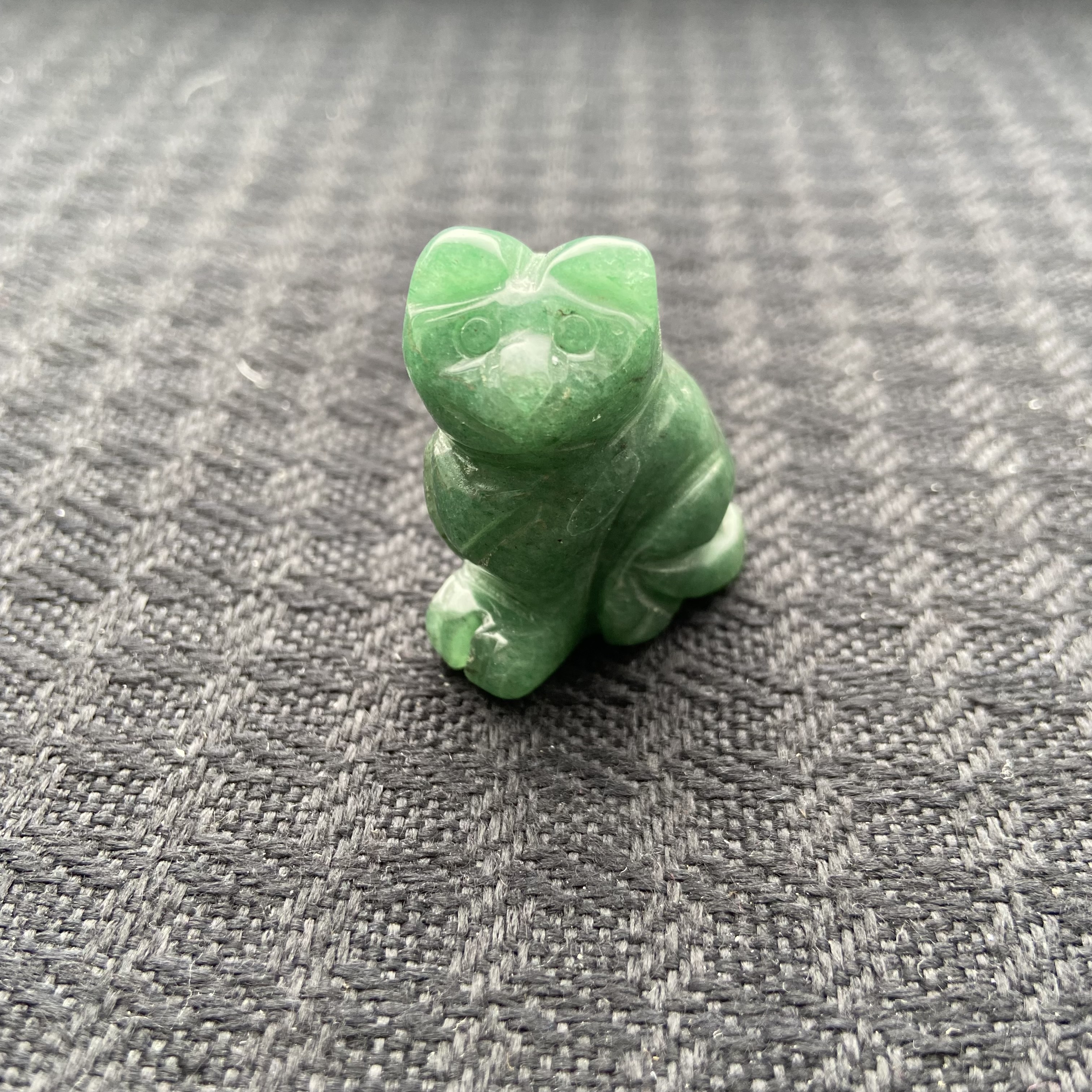 Small Animal Cat 1Each