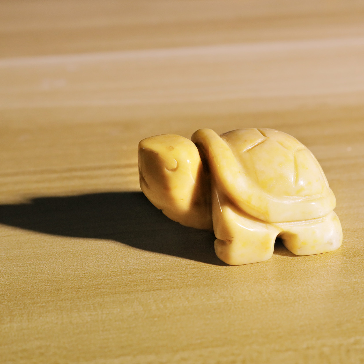 Small Animal Tortoise 1Each