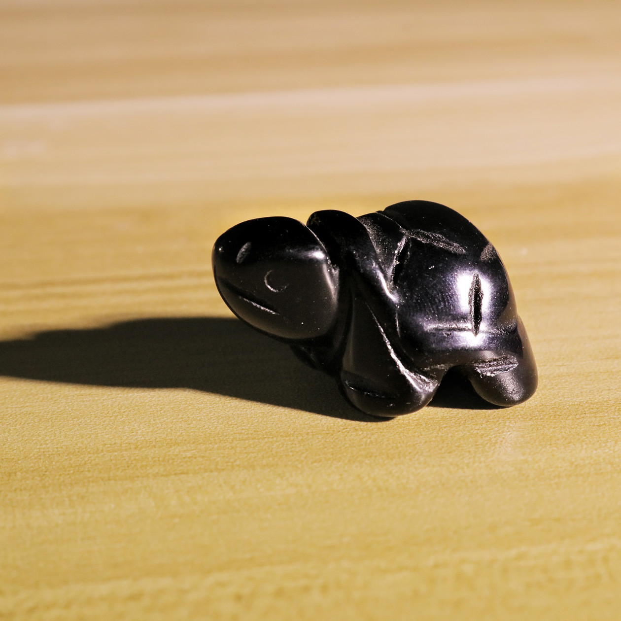 Small Animal Tortoise 1Each