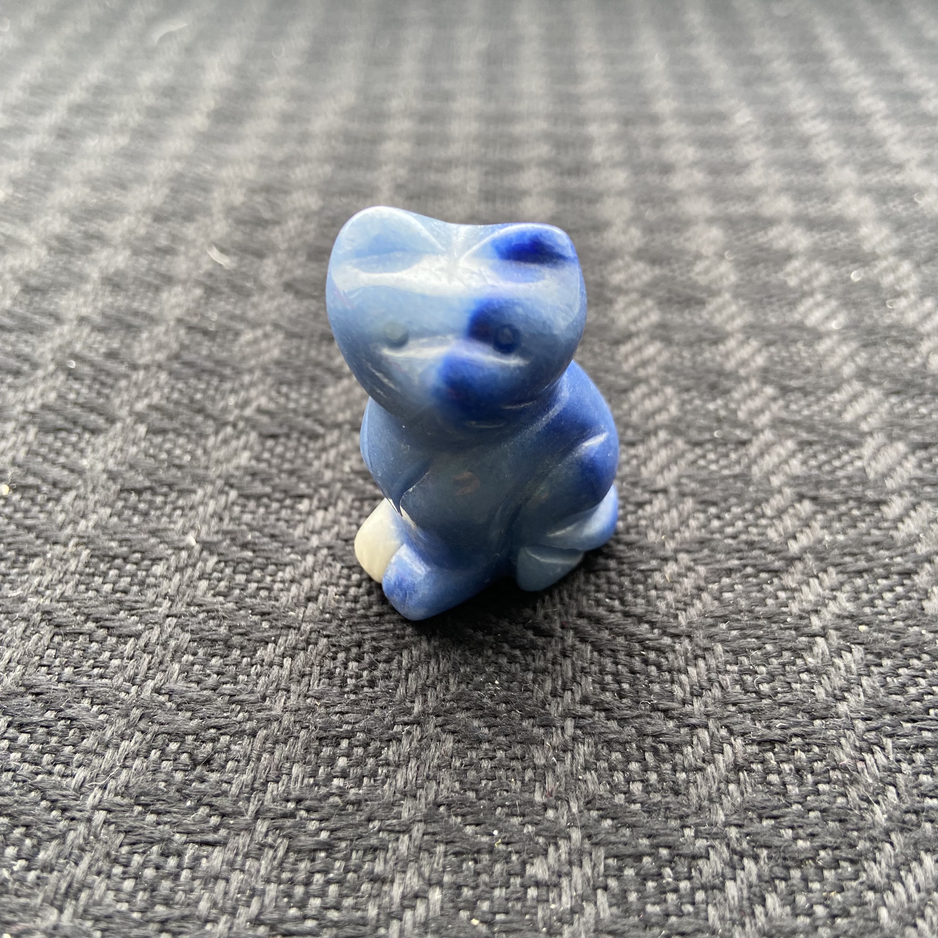 Small Animal Cat 1Each