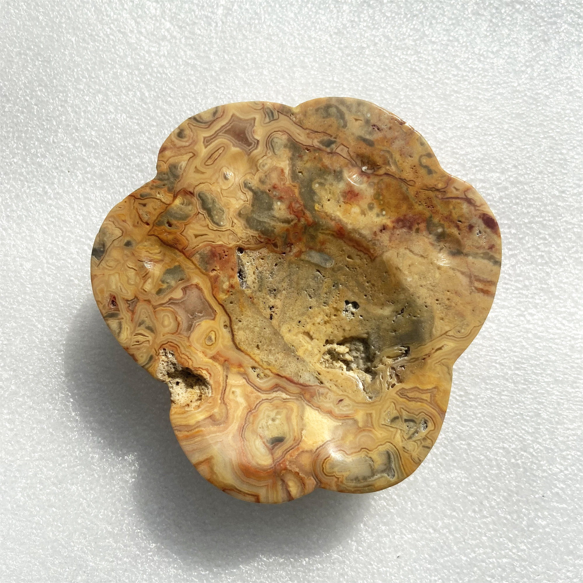 Cat Head,Claw Bowl 1 Each