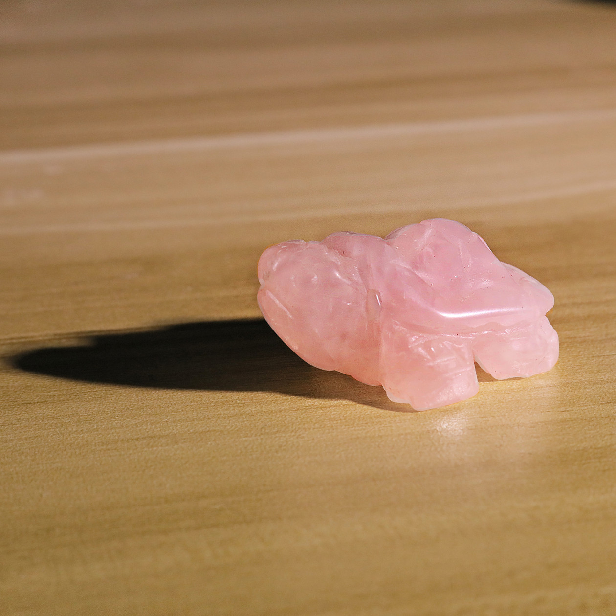 Small Animal Tortoise 1Each