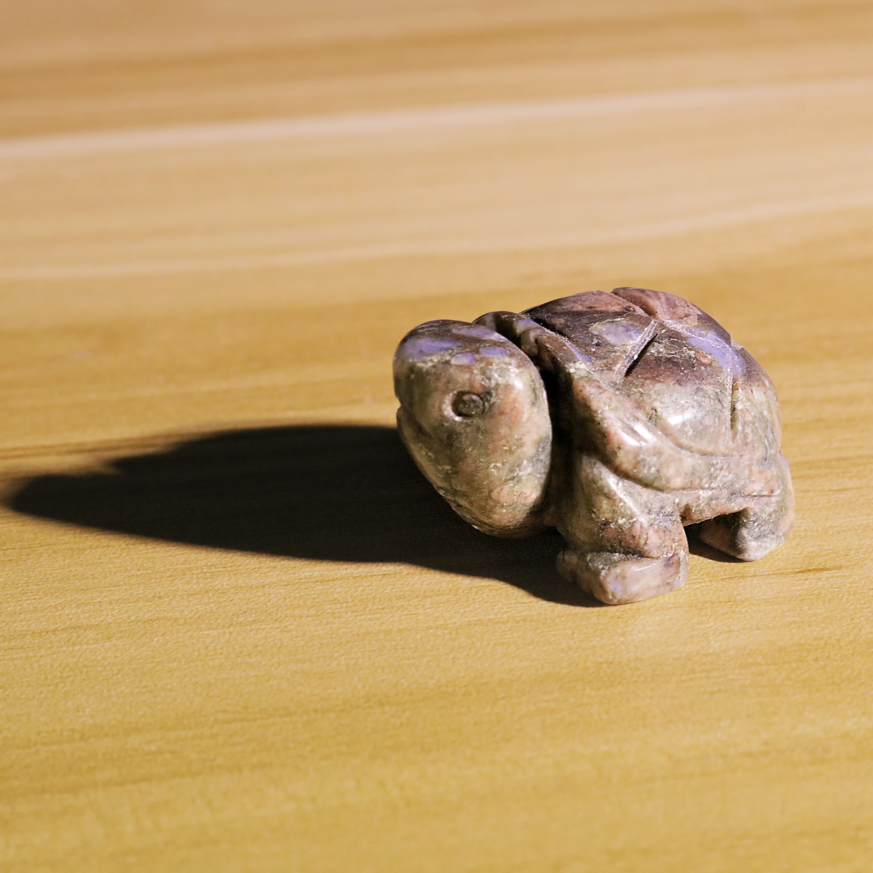 Small Animal Tortoise 1Each