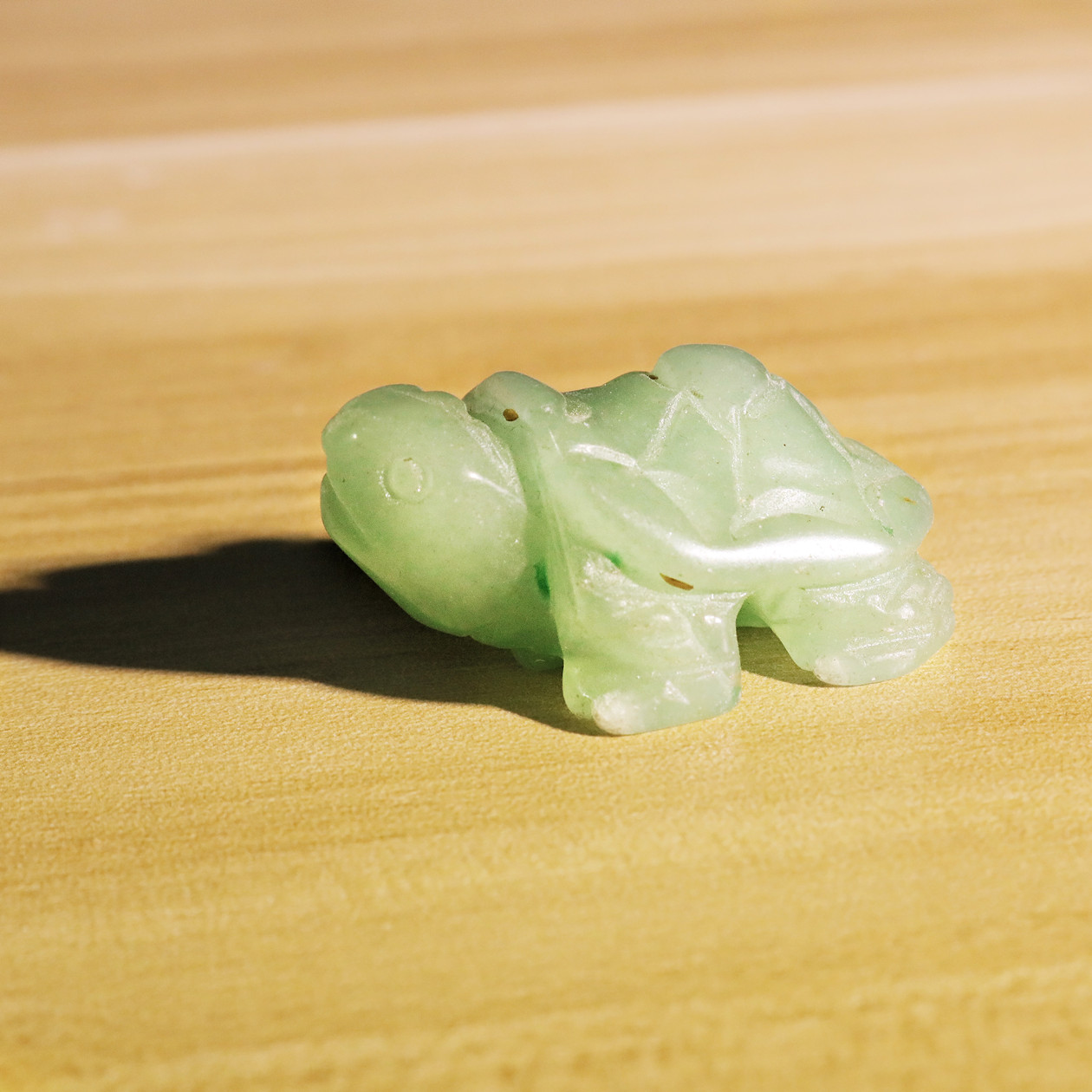 Small Animal Tortoise 1Each