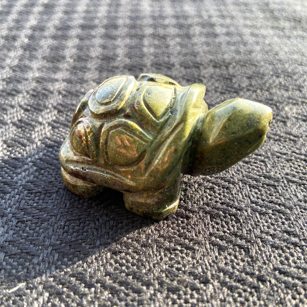 Small Animal Tortoise 1Each