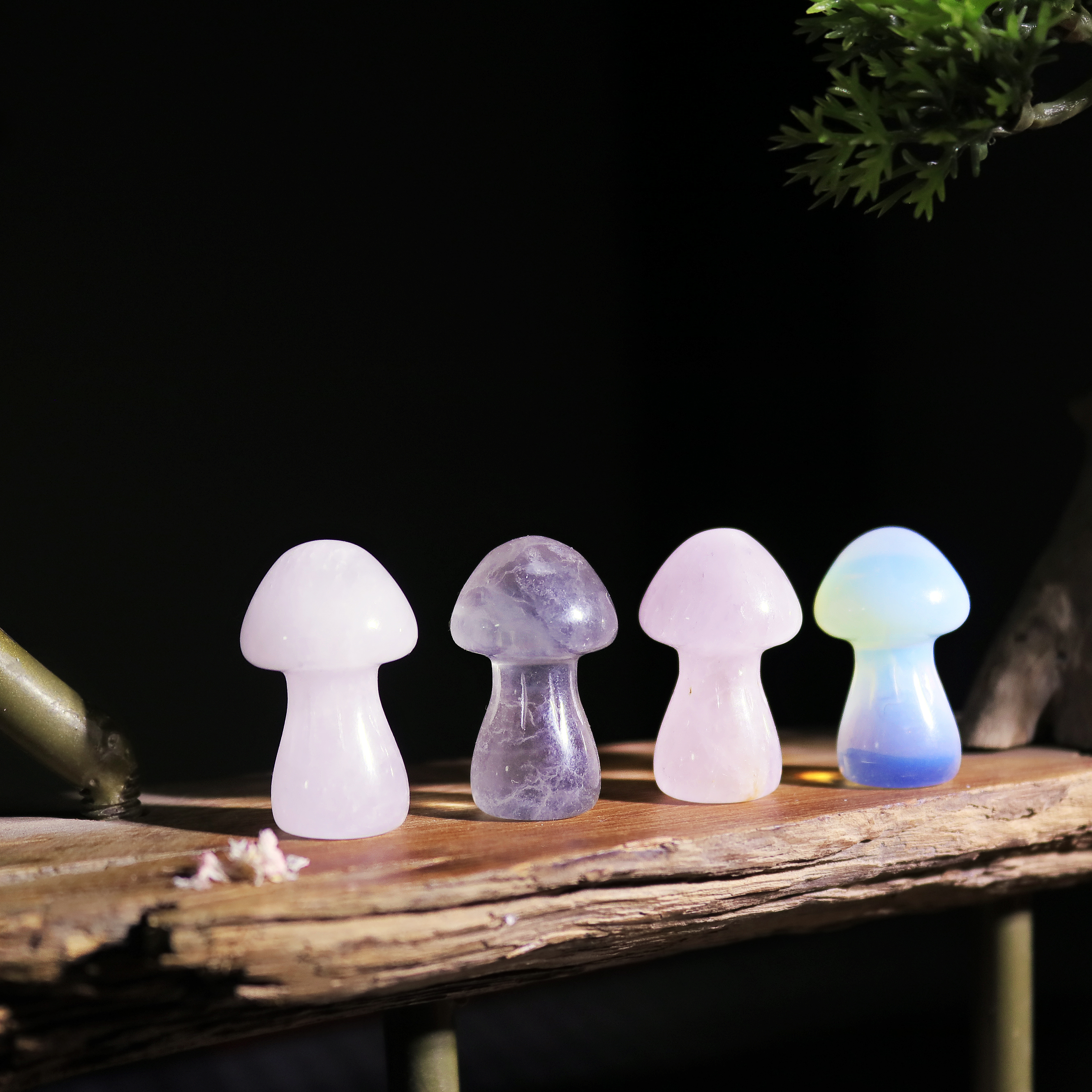 Mushroom
