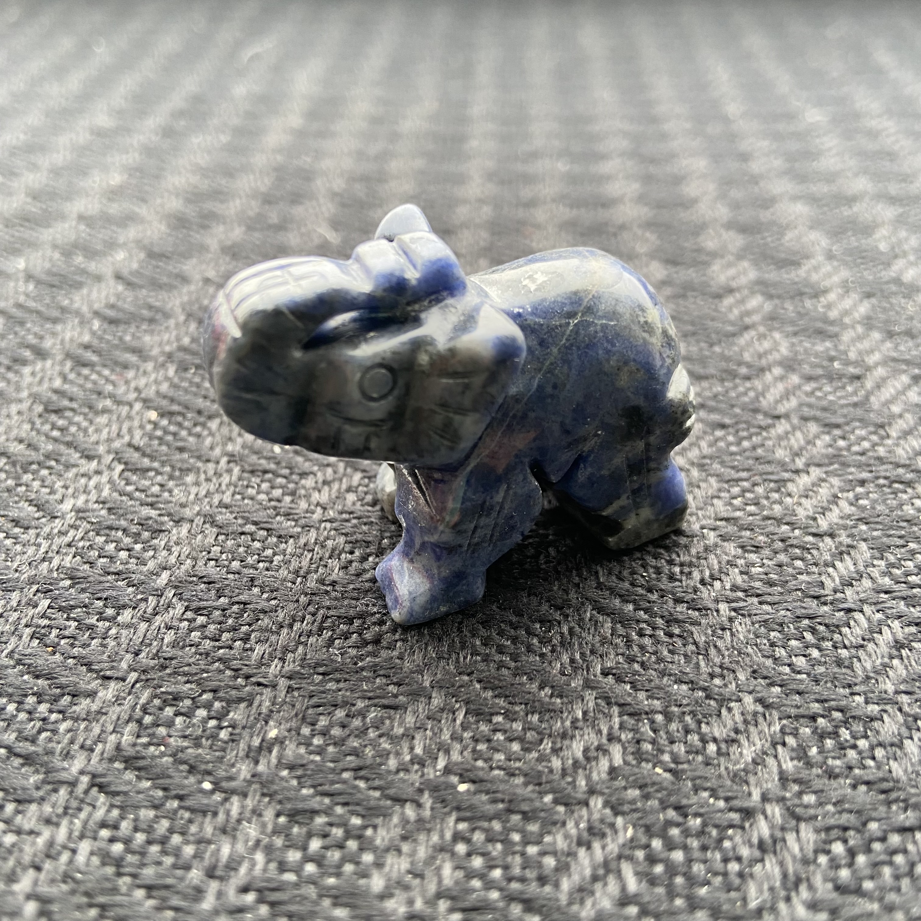 Small Animal Elephant 1Each