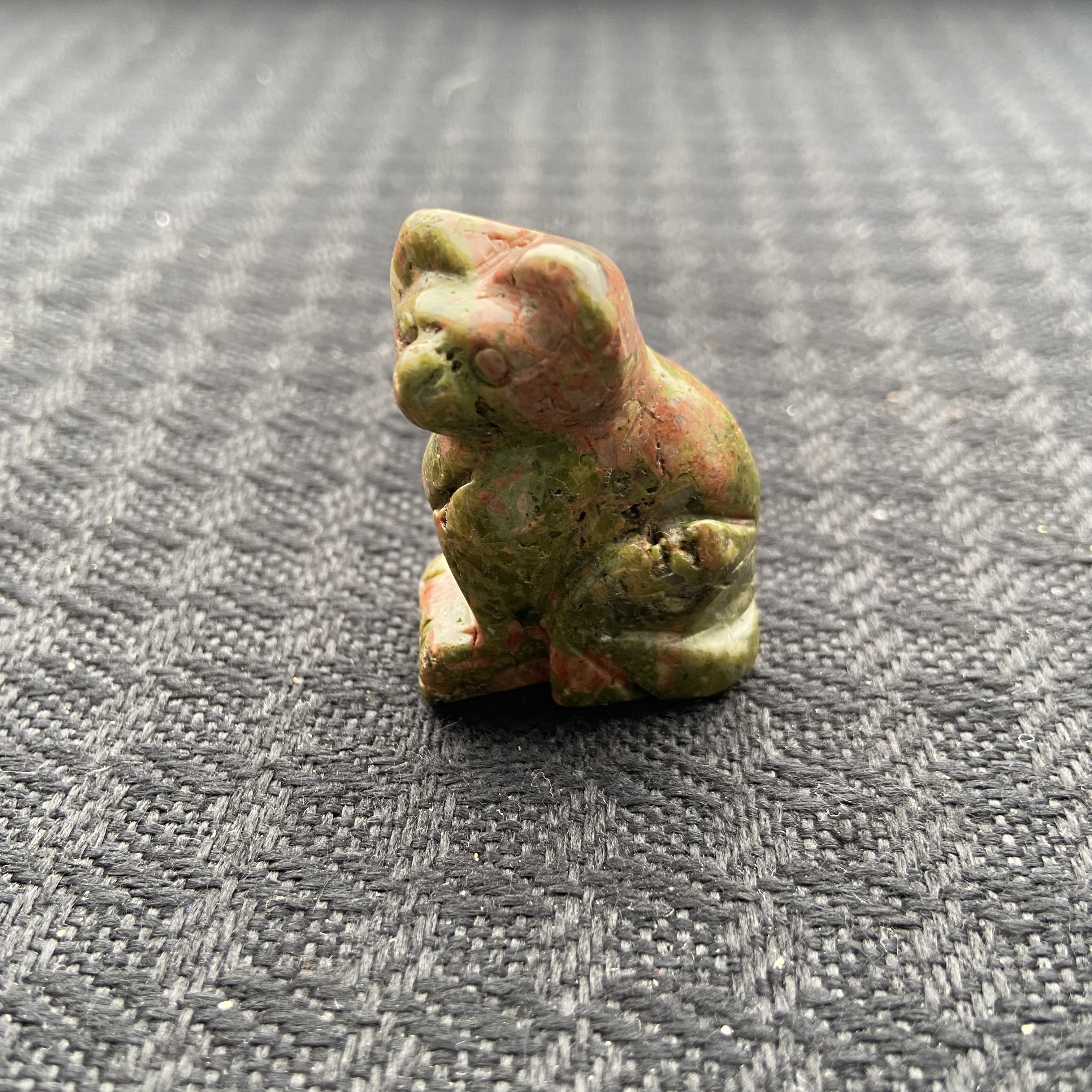 Small Animal Cat 1Each