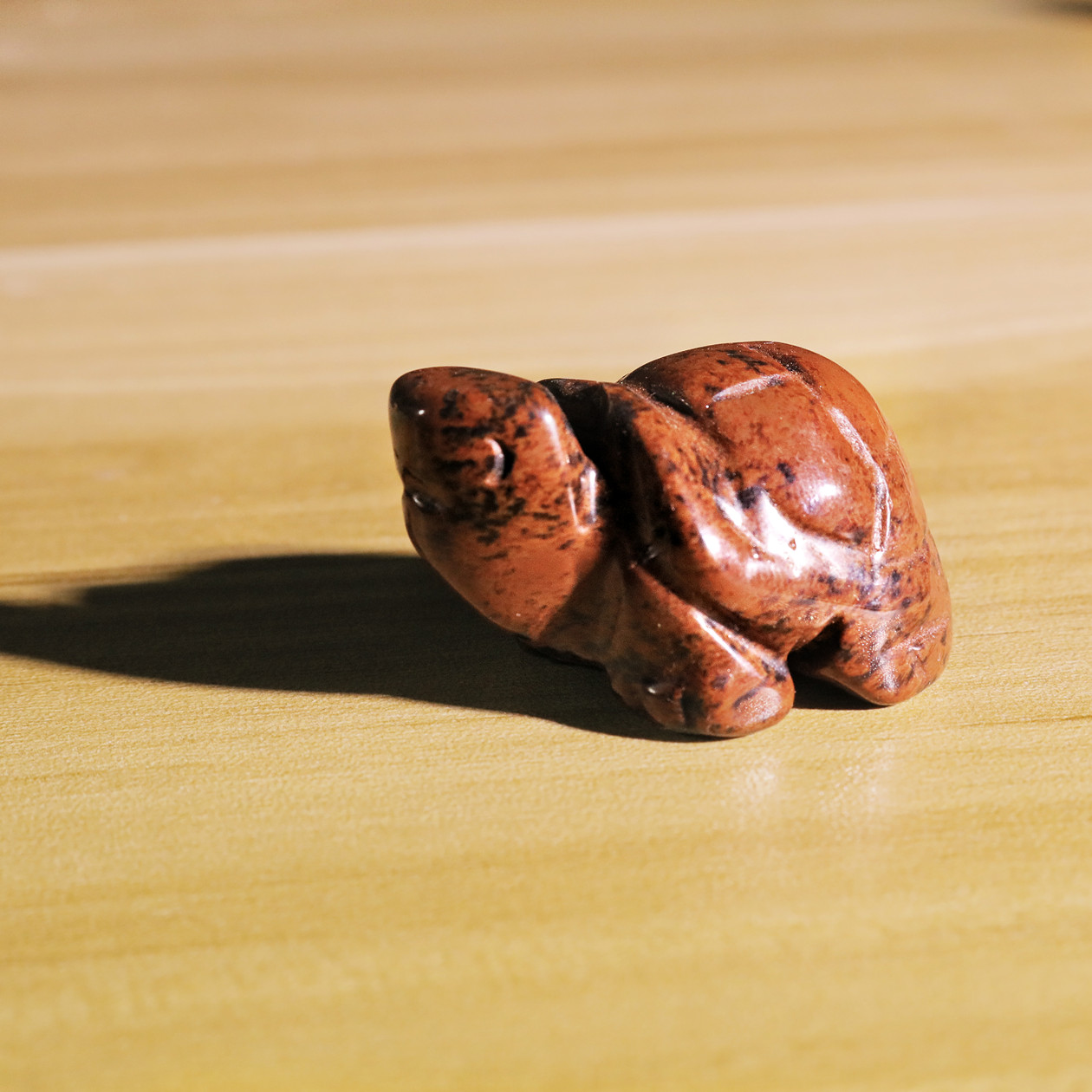 Small Animal Tortoise 1Each